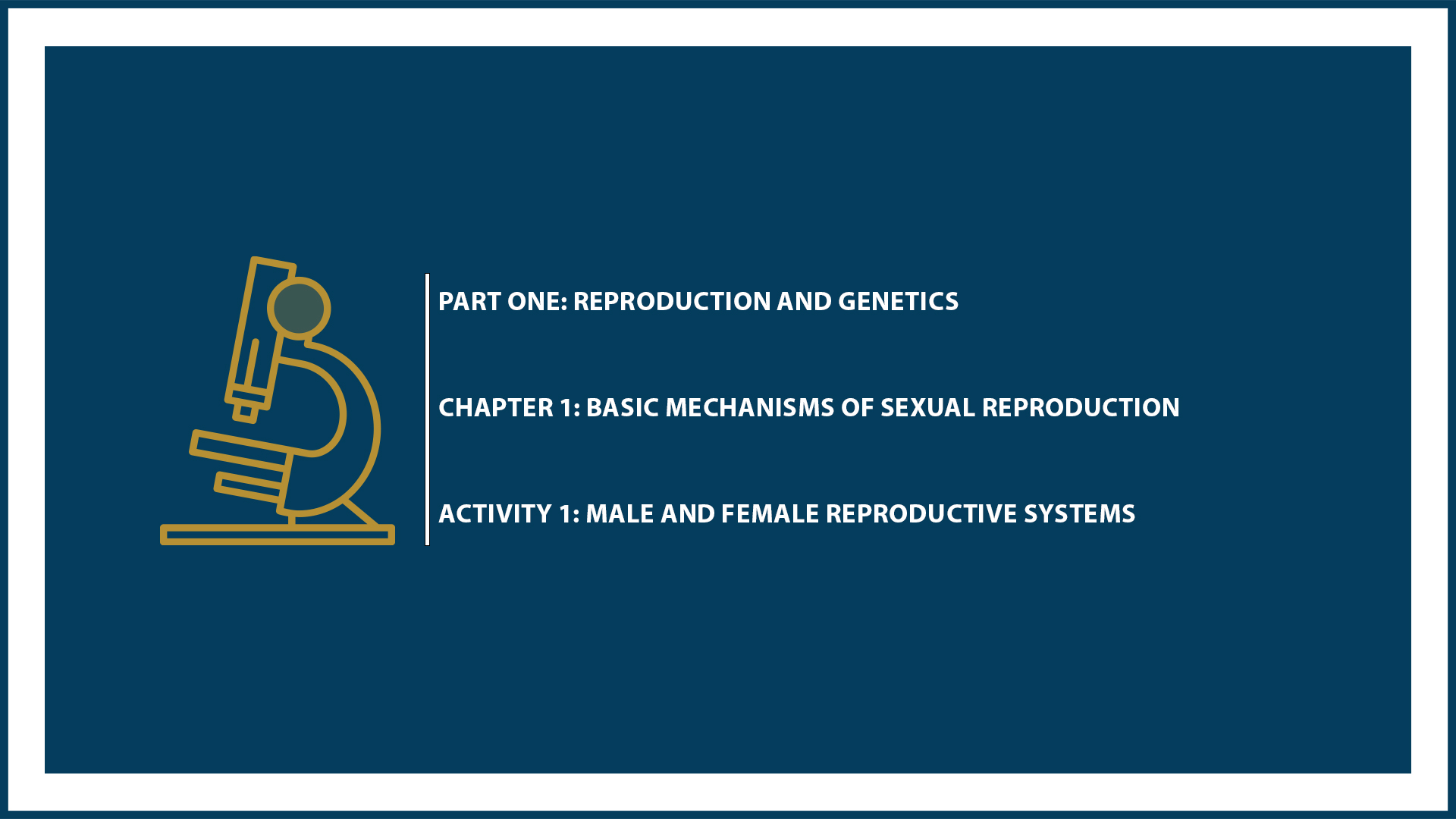 Unit One: Chapter 1 (Document 1: Male and Female Reproductive Systems)